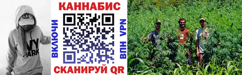 Наркошоп купить COCAIN  Галлюциногенные грибы  Меф мяу мяу  Амфетамин  ГАШИШ  Марихуана  Елизаветинская