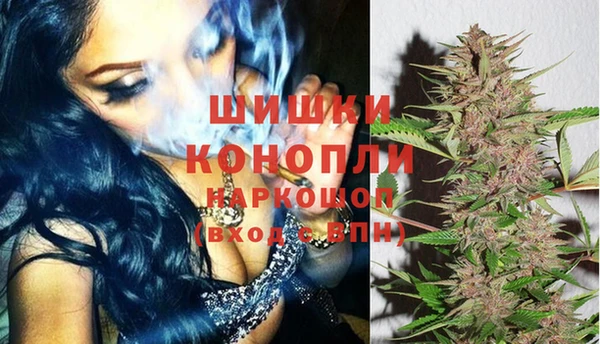 винт Заводоуковск