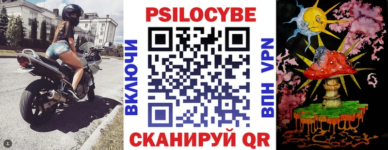 Купить  Елизаветинская  Псилоцибиновые грибы Magic Shrooms 